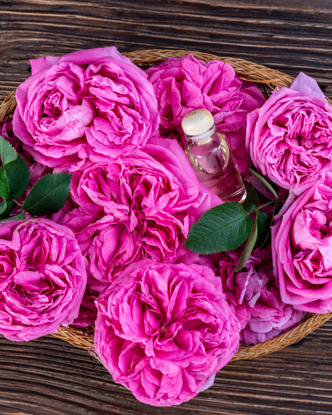 Paneer Rose
