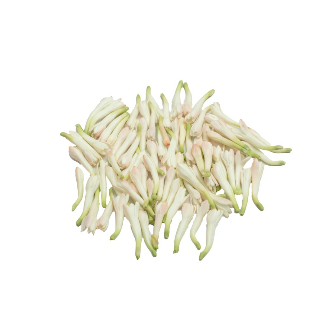 Sampangi (Lily)