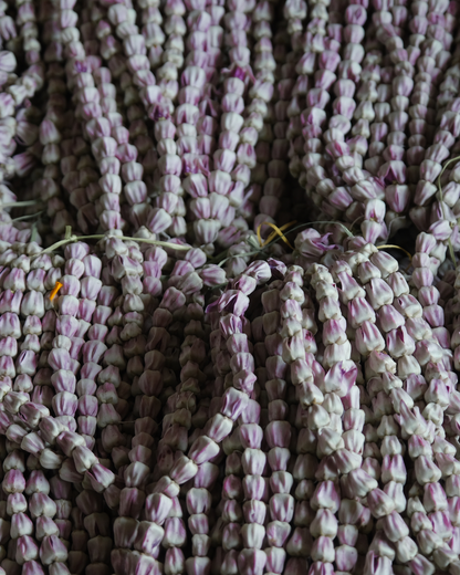 Erukampoo String