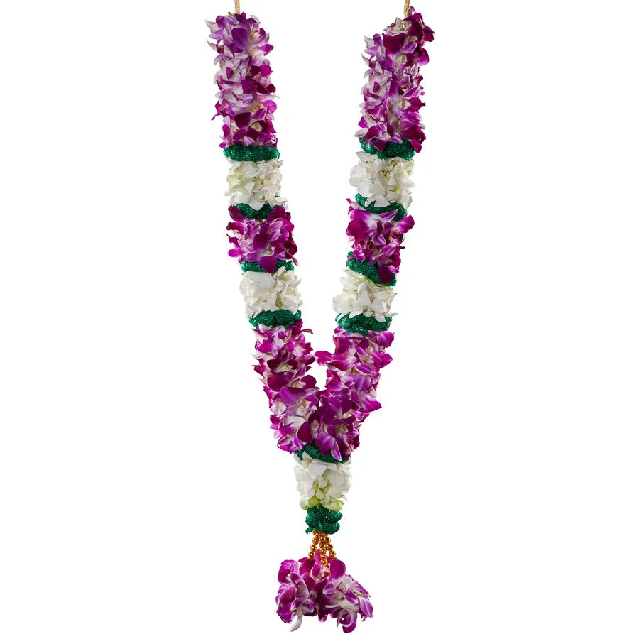 Orchid with Carnation Garland