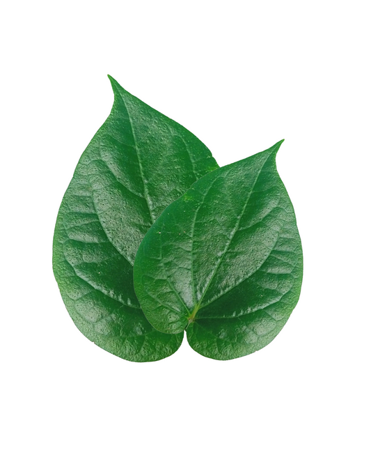 Betel (Paan) Leaves