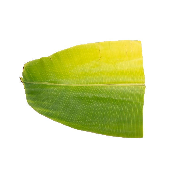 Banana Leaves