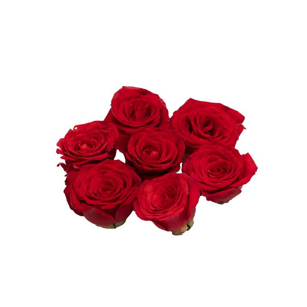 Button Rose - Fancy Florist