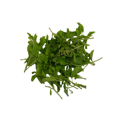 Thulasi (Holy Basil)