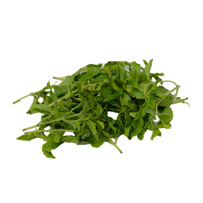 Thulasi (Holy Basil)